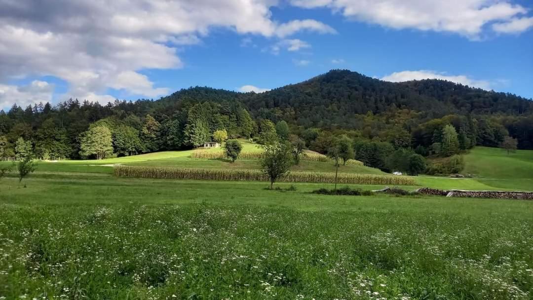 Apartma Pod Pugledom Lägenhet Ljubljana Exteriör bild